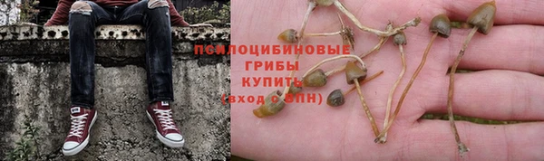 хмурый Арсеньев
