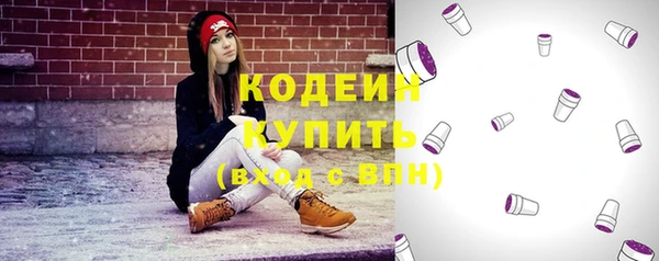 хмурый Арсеньев