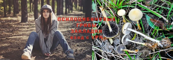 хмурый Арсеньев