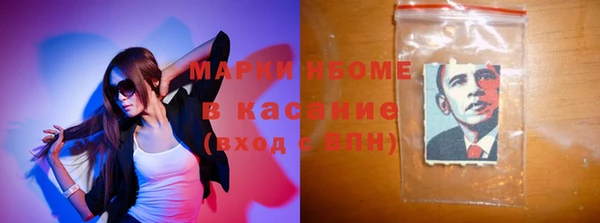 хмурый Арсеньев