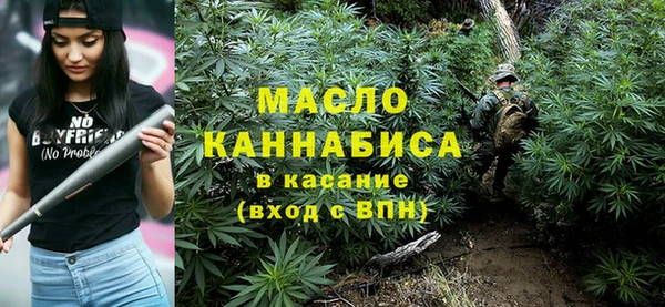 хмурый Арсеньев