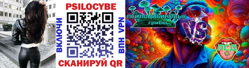 Псилоцибиновые грибы Psilocybe Асбест